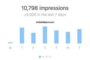 instagram-istatistikleri