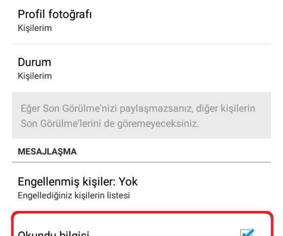 WhatsApp durumuna baktığımı görmesin