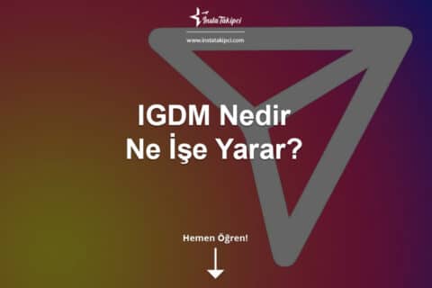 IGdm Nedir ve Ne İşe Yarar?