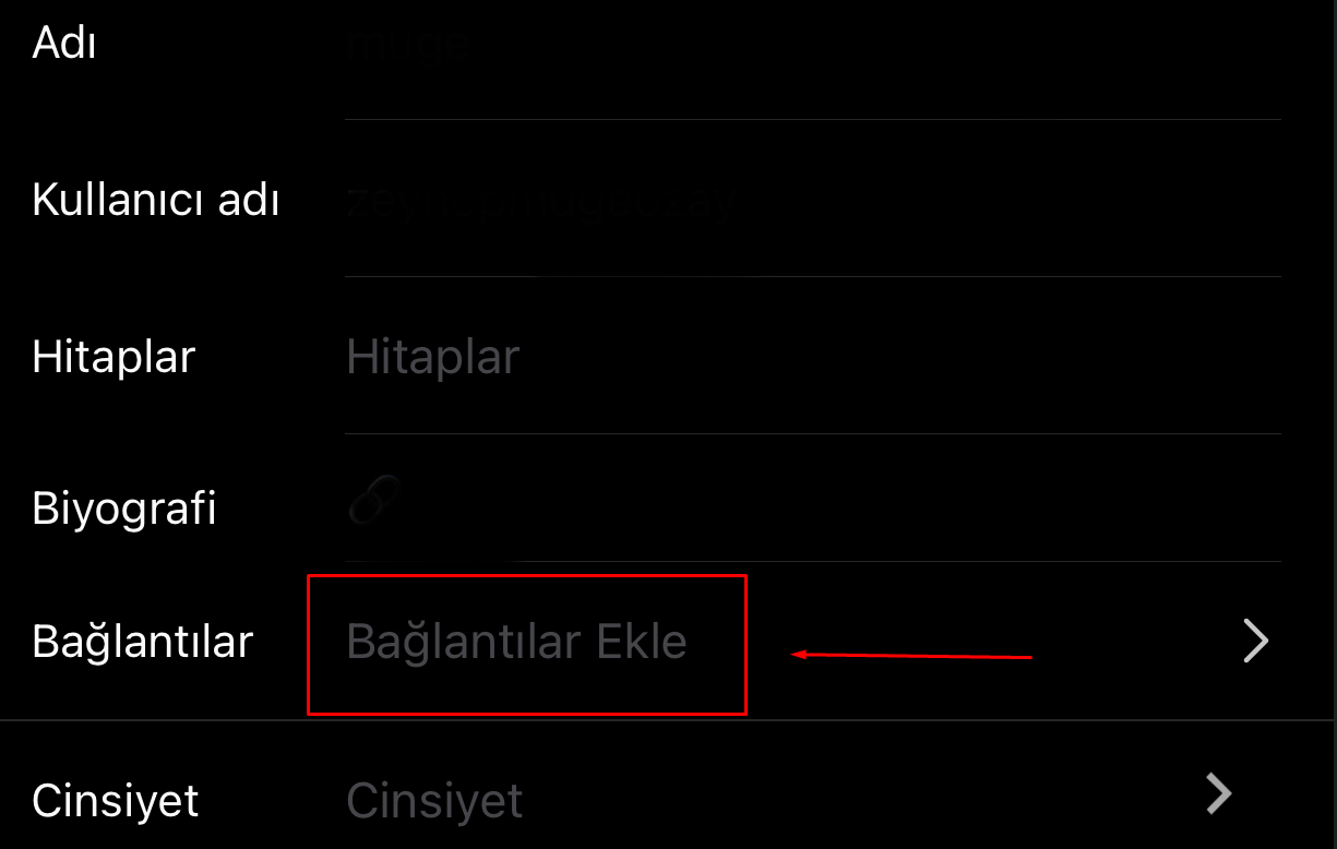 instagram bağlantılar ekle