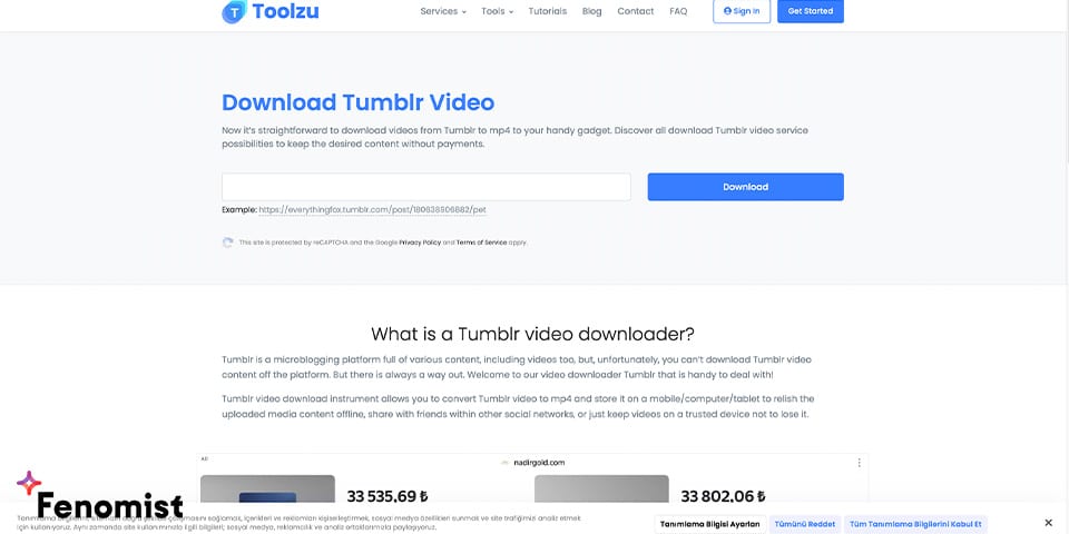 Toolzu Tumblr Downloader