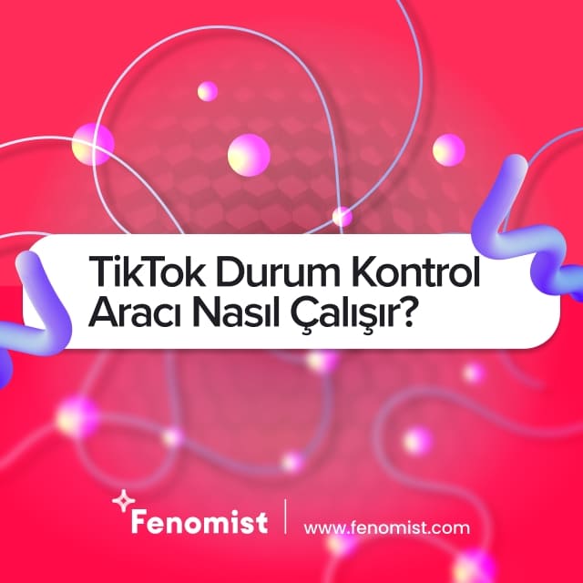 tiktok durum kontrol aracı nasıl çalışır