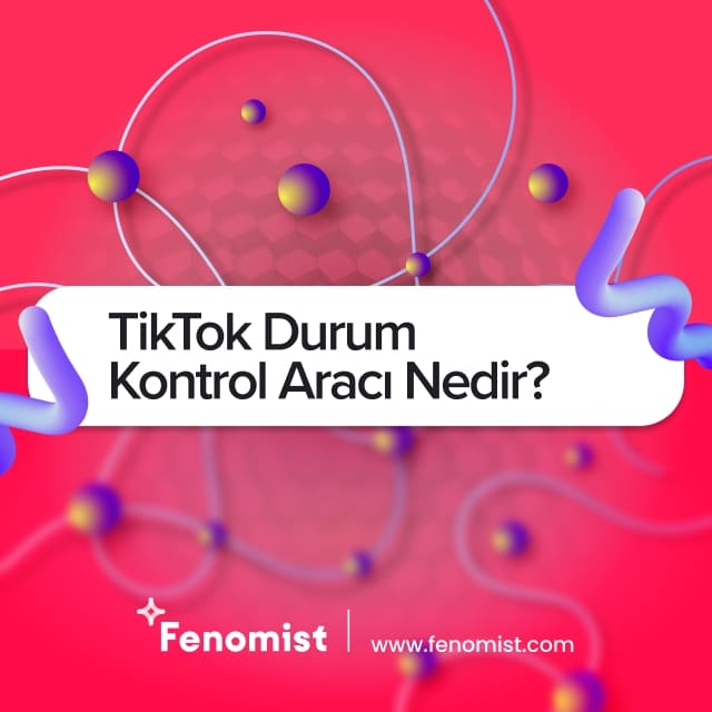 tiktok durum kontrol aracı nedir