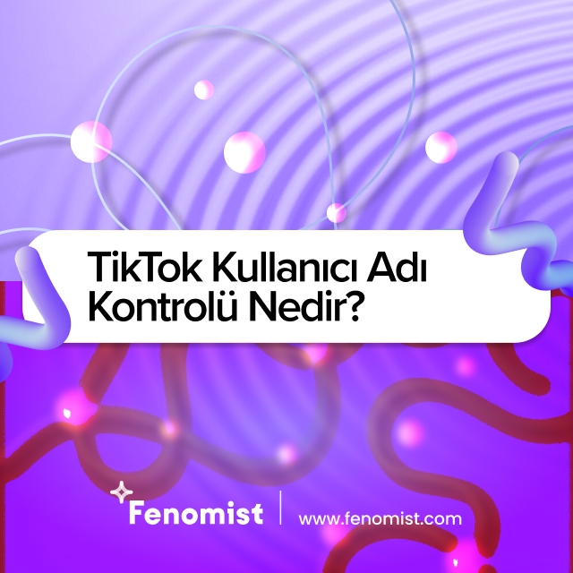 Tiktok Kullanıcı Adı Kontrolü Nedir